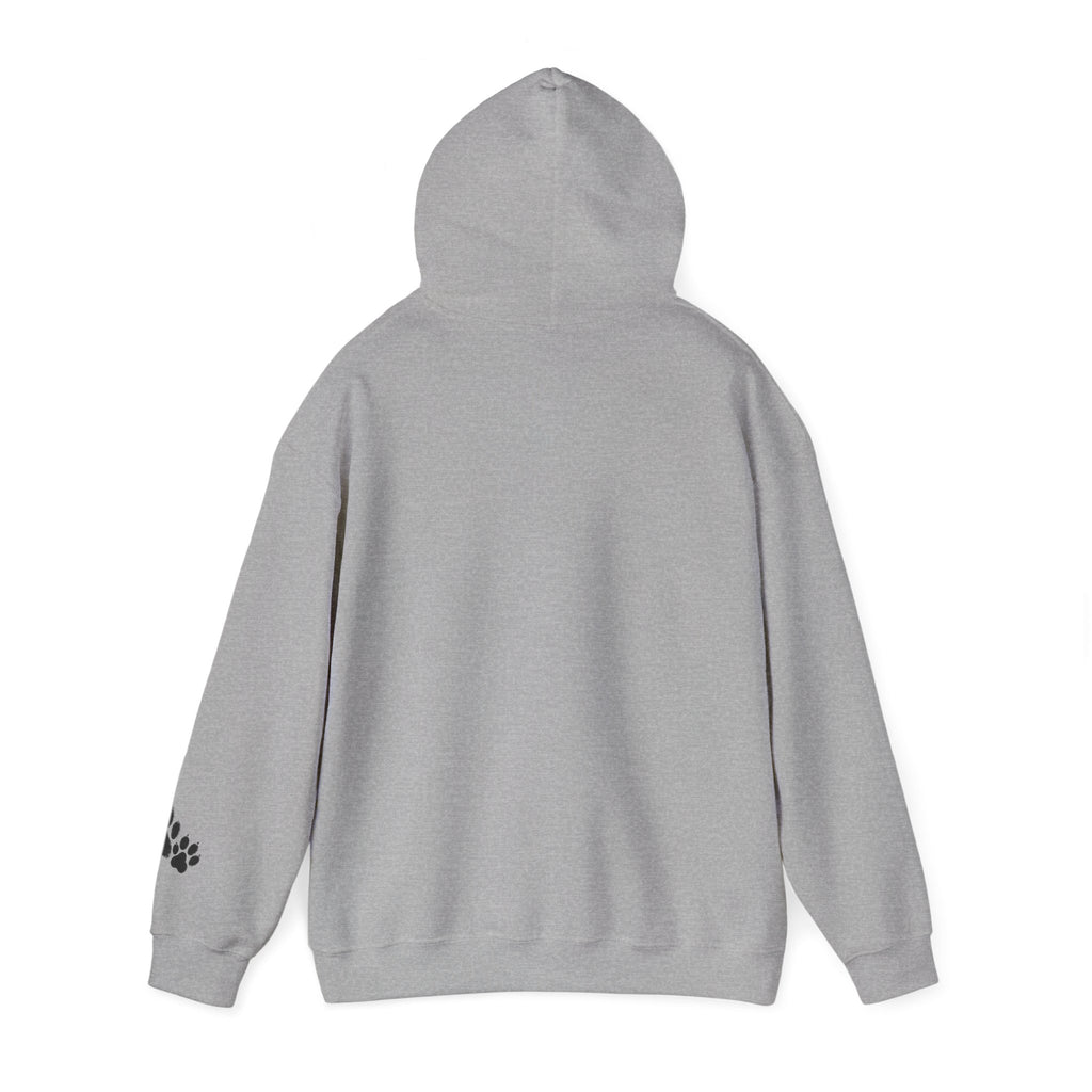 Pitty & Kitty - Unisex Heavy Blend™ Hooded Sweatshirt